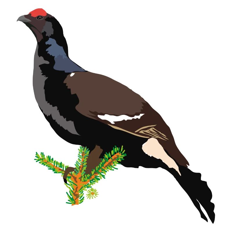 Birkhuhn