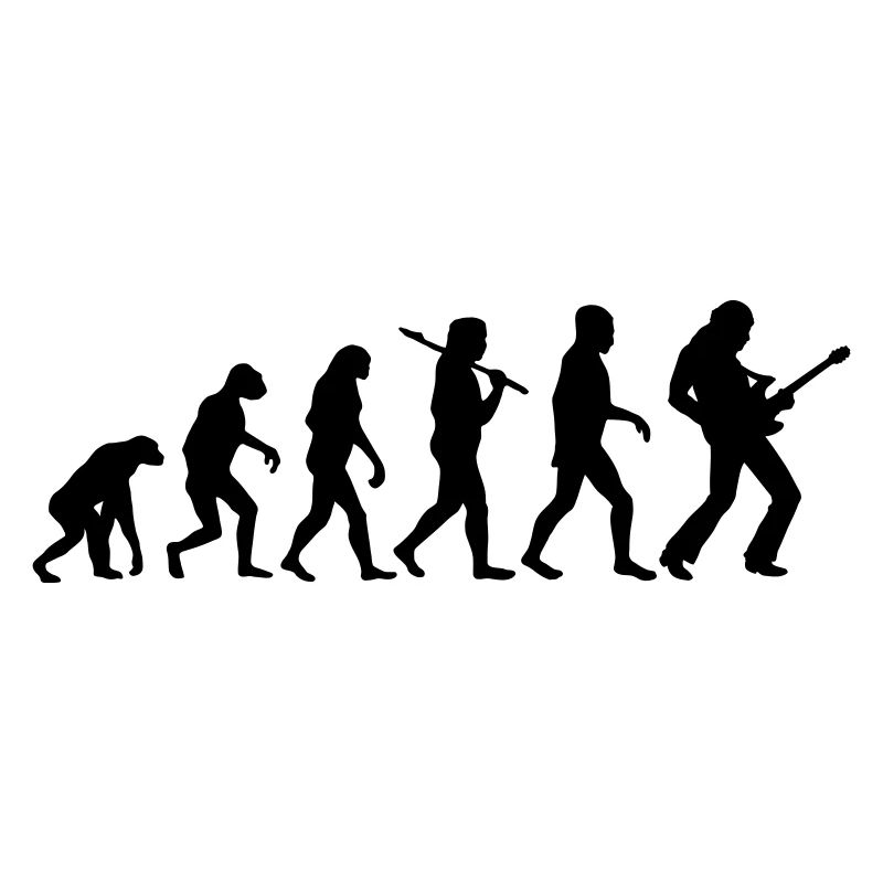Evolution Rock Gitarre
