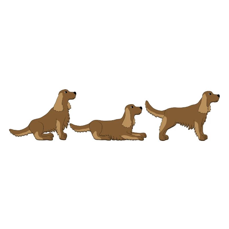 place get Cocker Spaniel