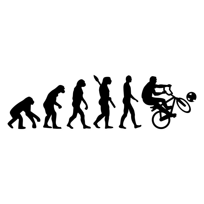 Evolution Cycle ball