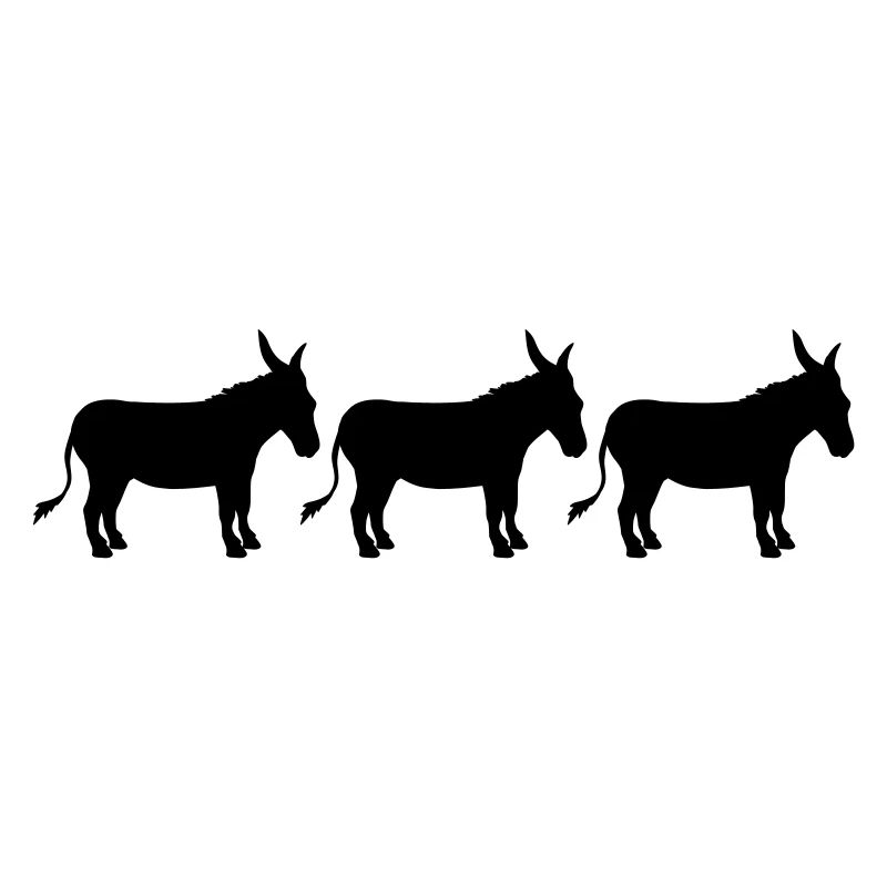 3 amis équipage partie rangée âne cheval poney petit p