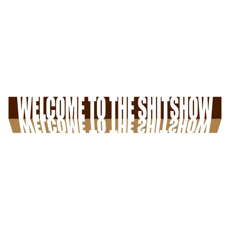 Reflection Welcome Shitshow