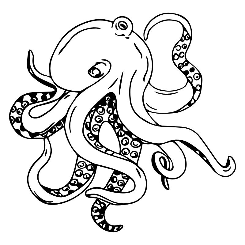 octopus_big