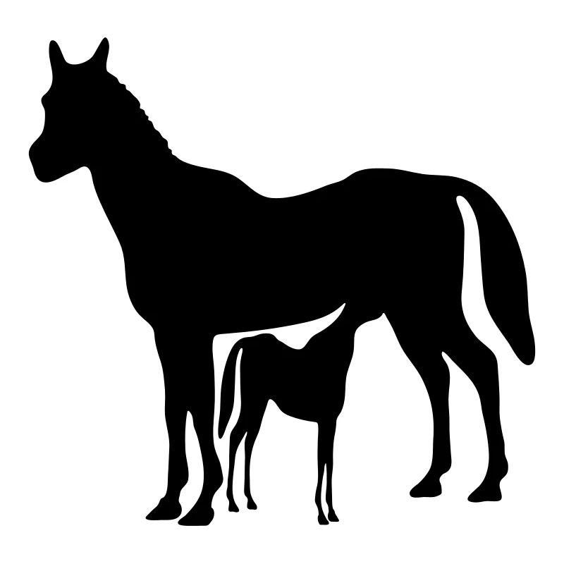pferd