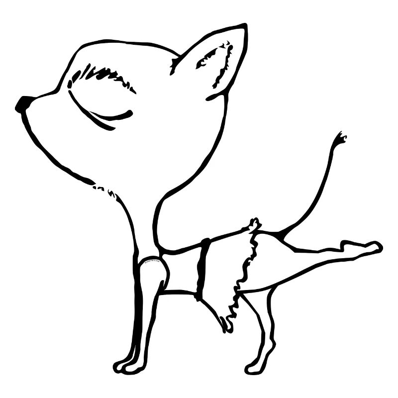 Chihuahua Hund