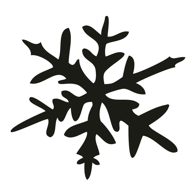 Eiskristall