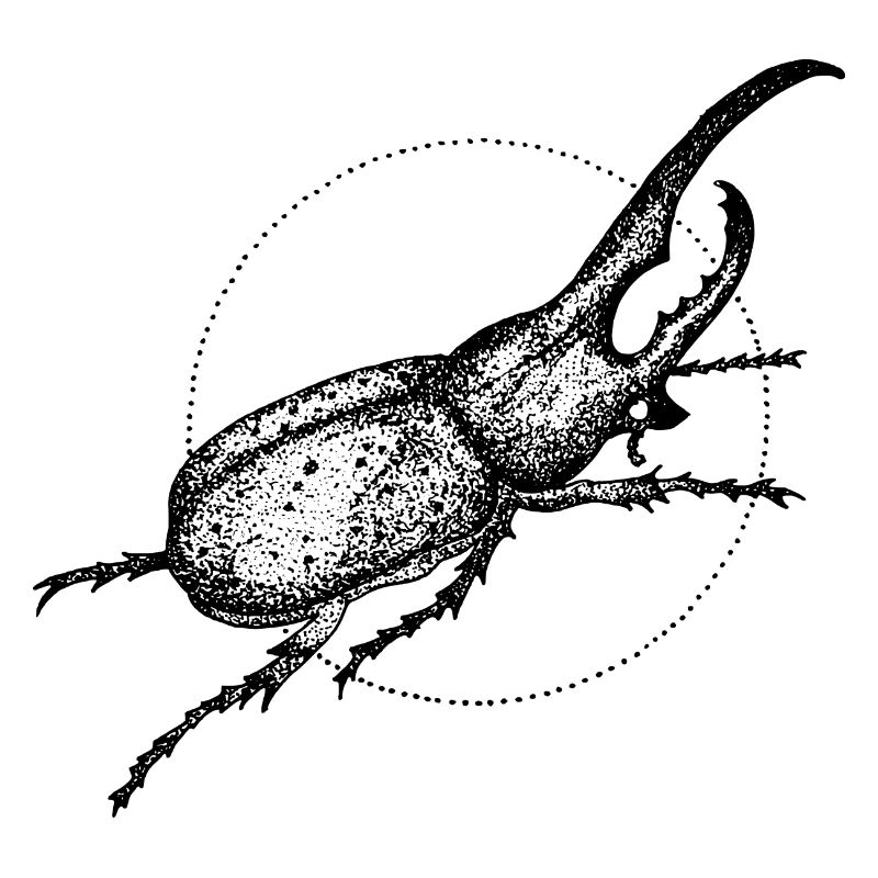 Żuk