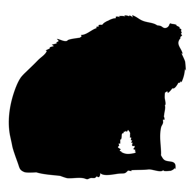 baer_30