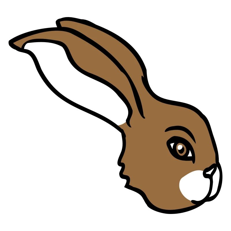 Bunny face peeking sideways profile side view