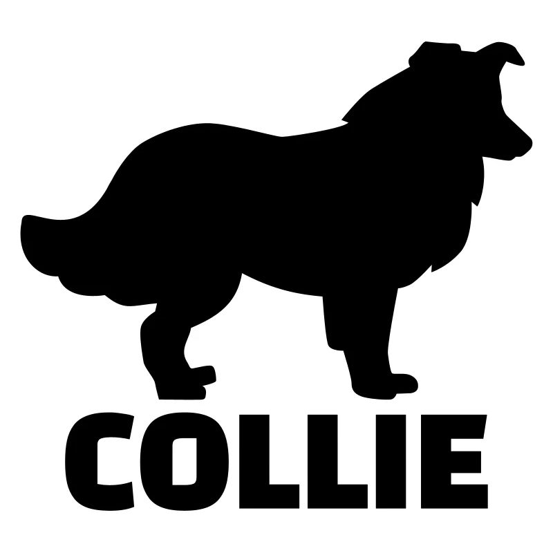 Collie