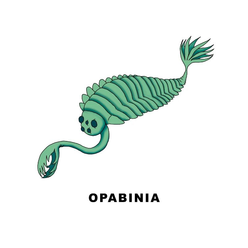 OPABINIA