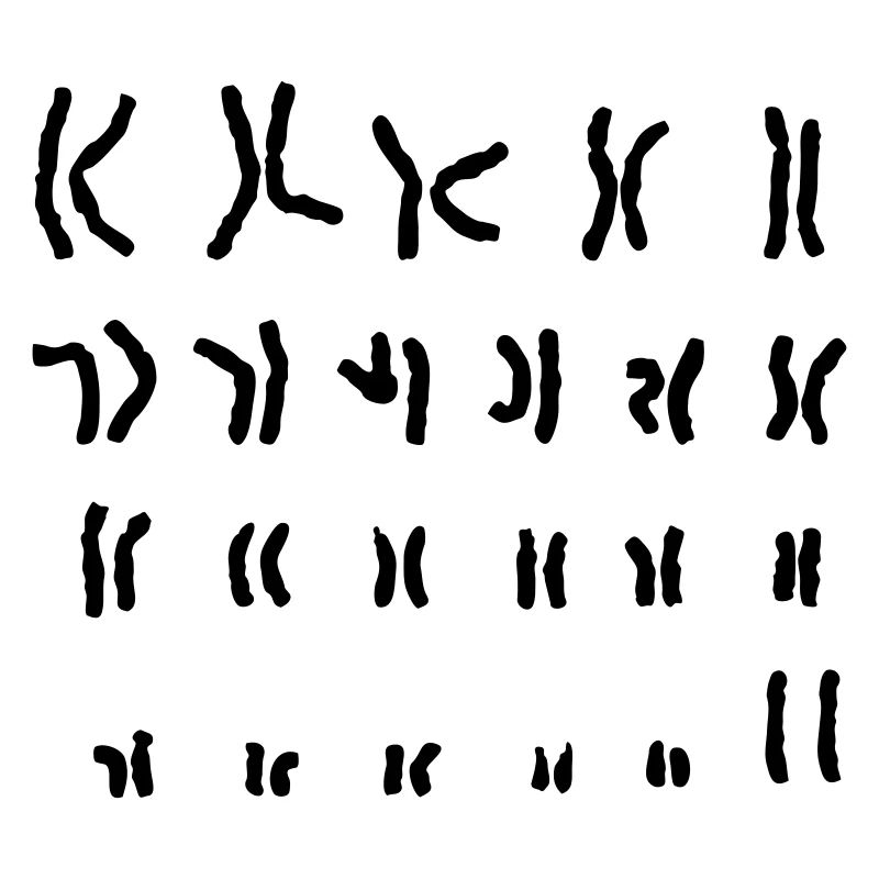 Chromosom xx Nerd-Shirt