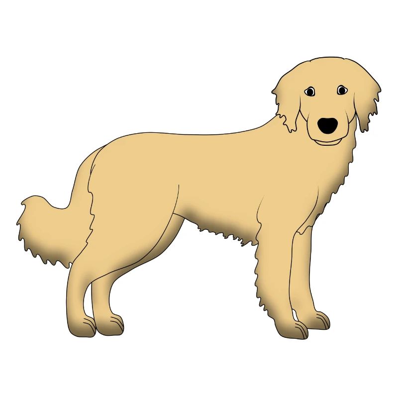 hovawart_blond