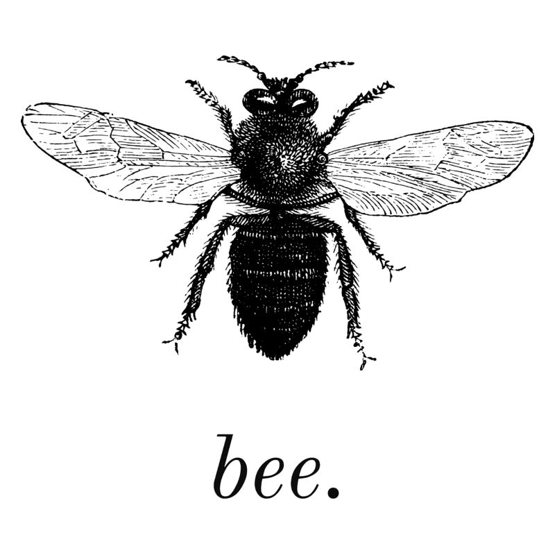 bee.
