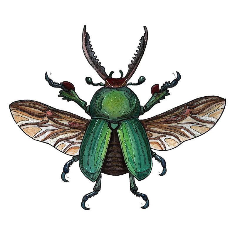 Big Green Beetle - coléoptère vert géant