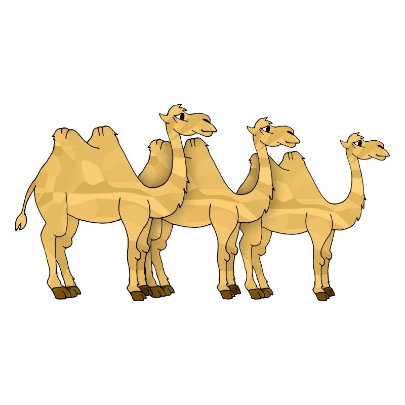 Kamele