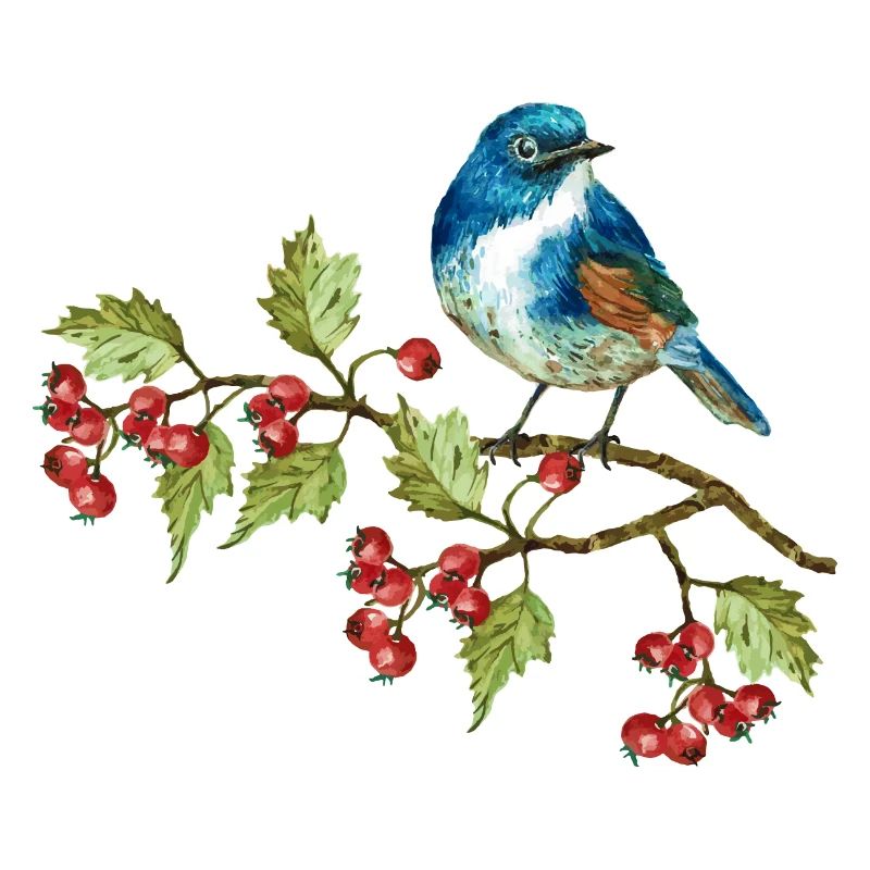 Bunter Vogel