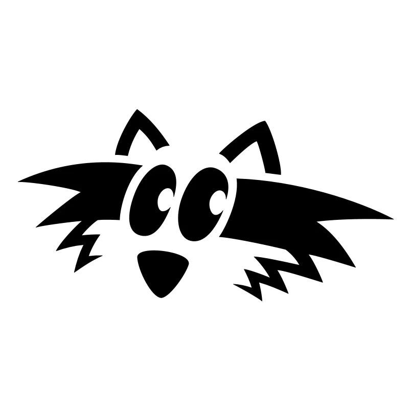 Waschbär Gesicht