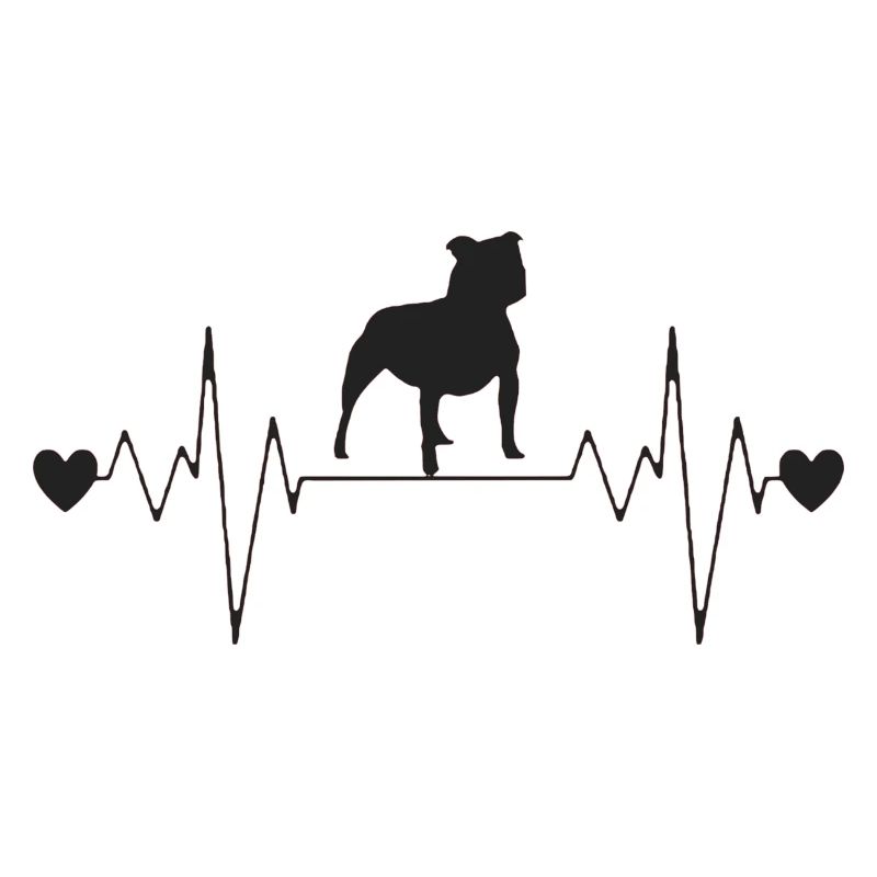 Pitbull, Heartbeat