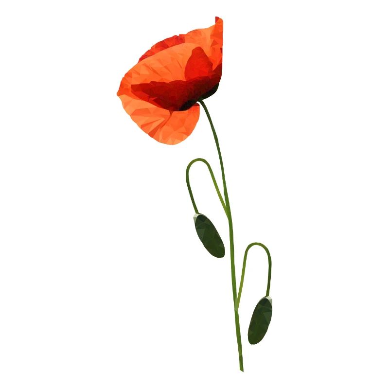 Poppy