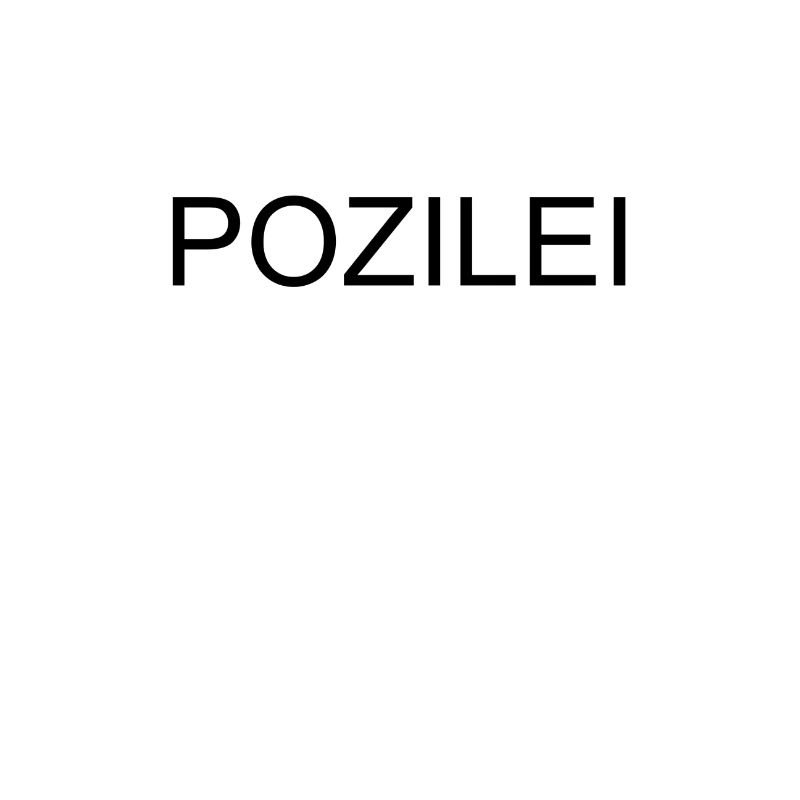 Polizei