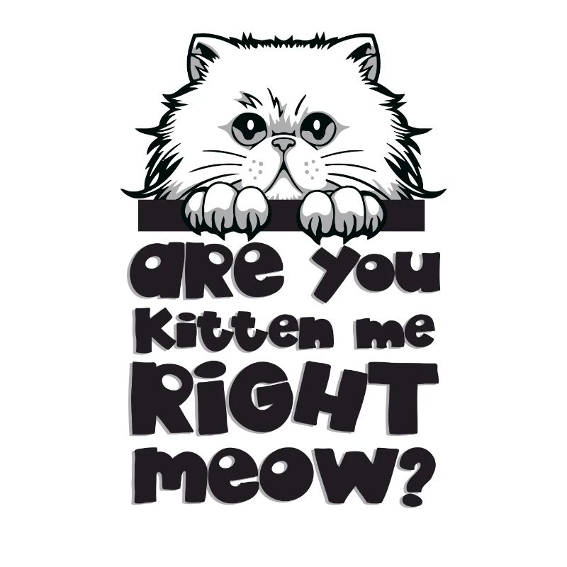 Cadeau chat chat face griffe course chat