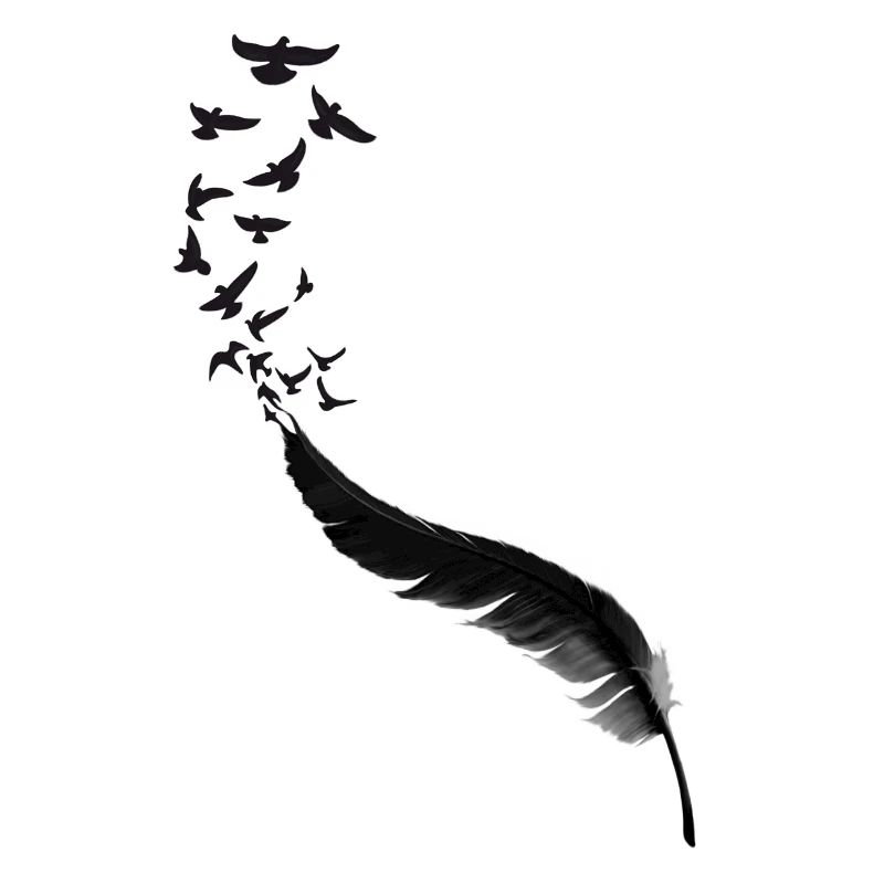 Feather Birds