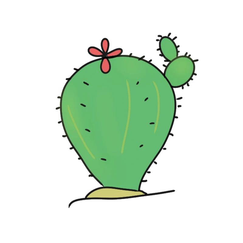 CACTUS CACTUS