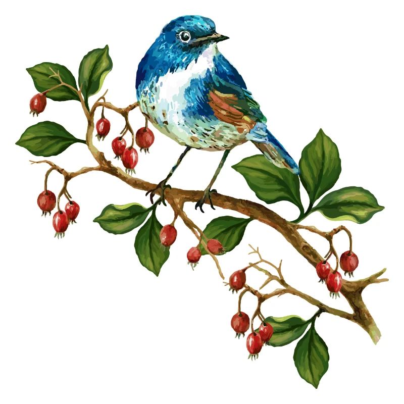 Bunter Vogel
