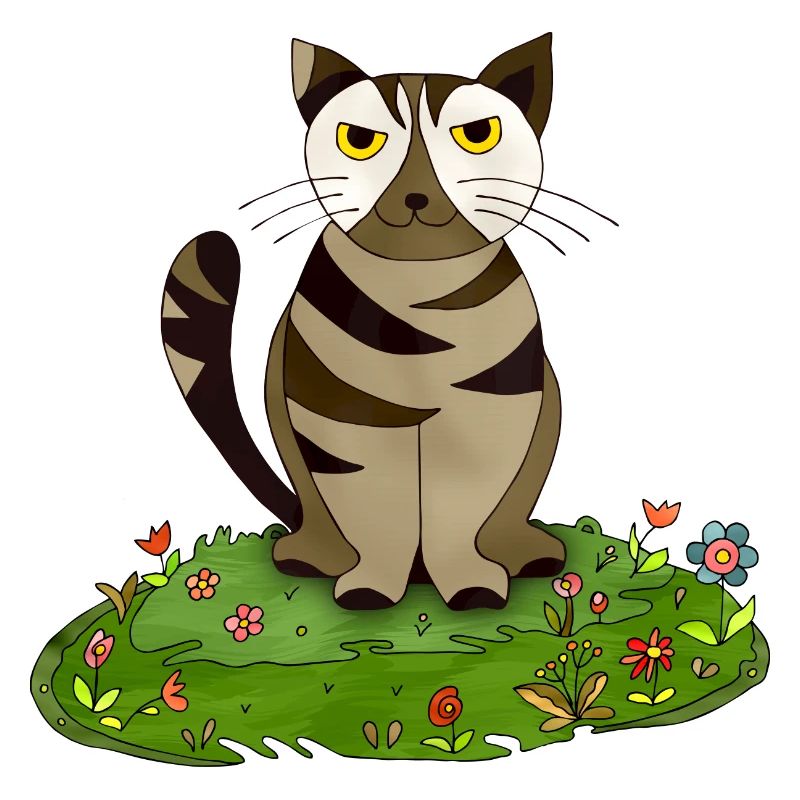 Chat