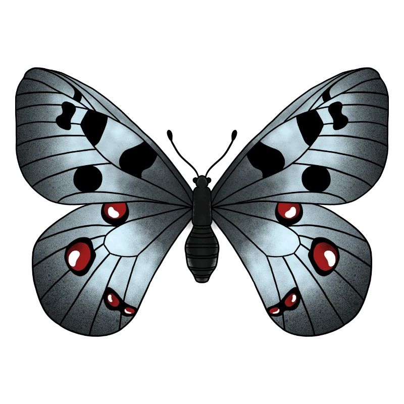 Gris papillon