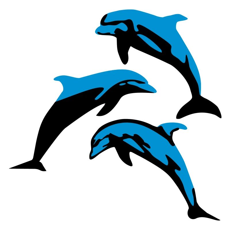 Dolphins - dauphins