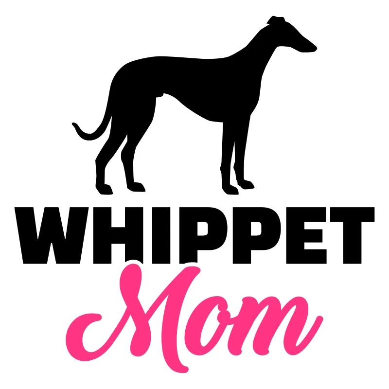 Whippet