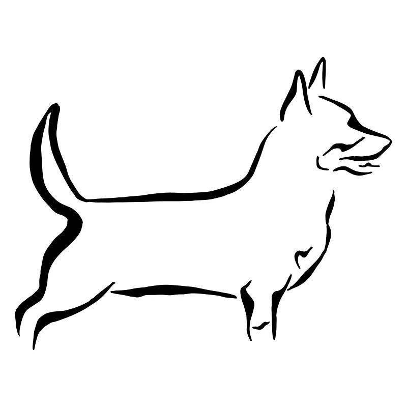 Lancashire Heeler