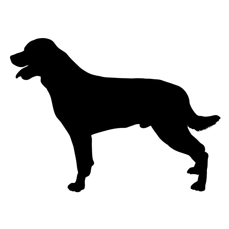 rottweilers