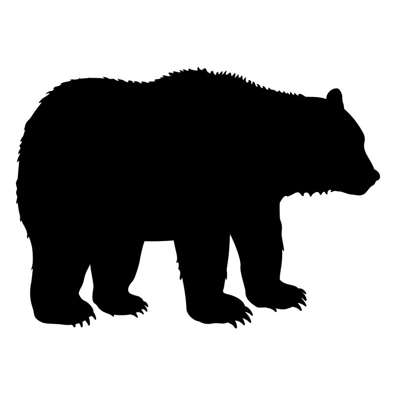 bear animal