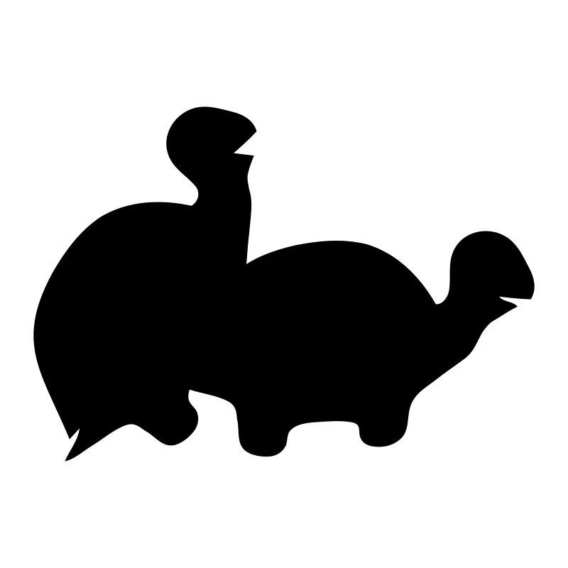 tortue