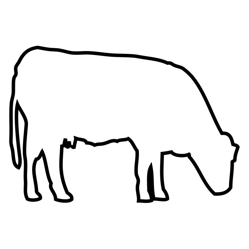 vache