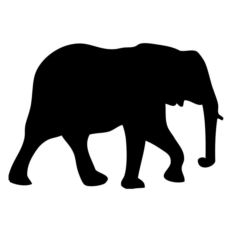 Elefant - Elephant
