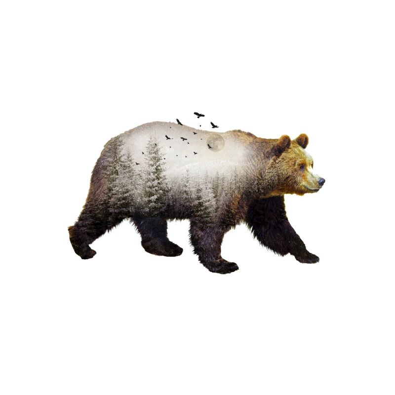 Mondbär