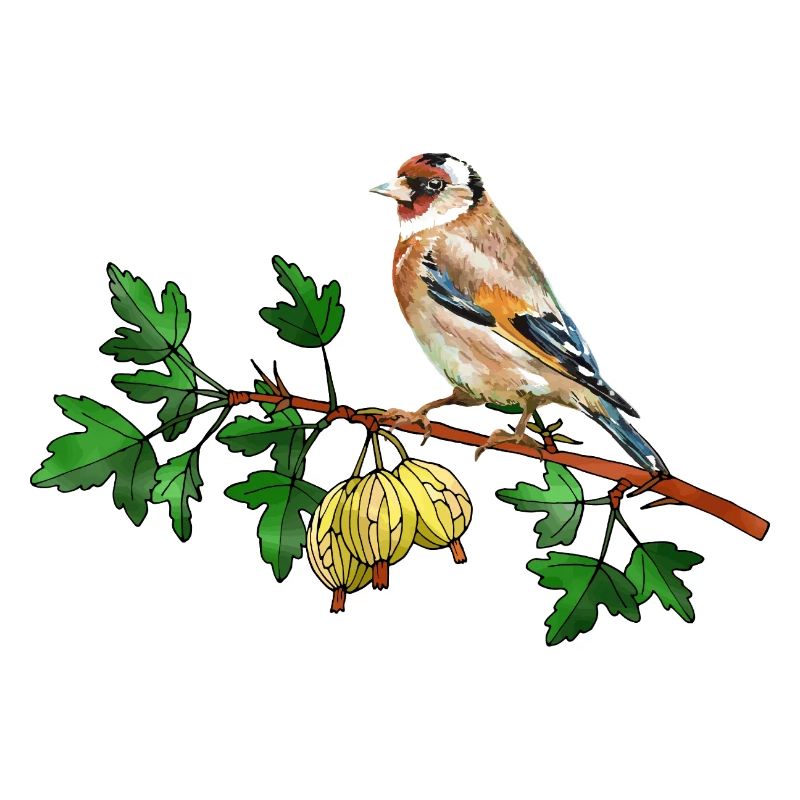 Bunter Vogel