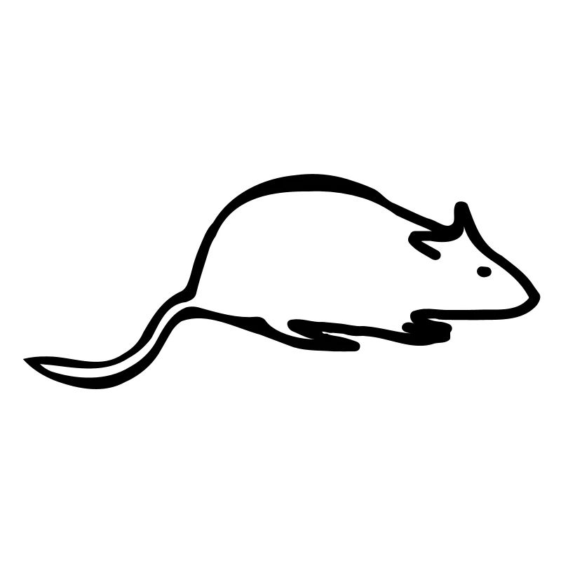 ratte
