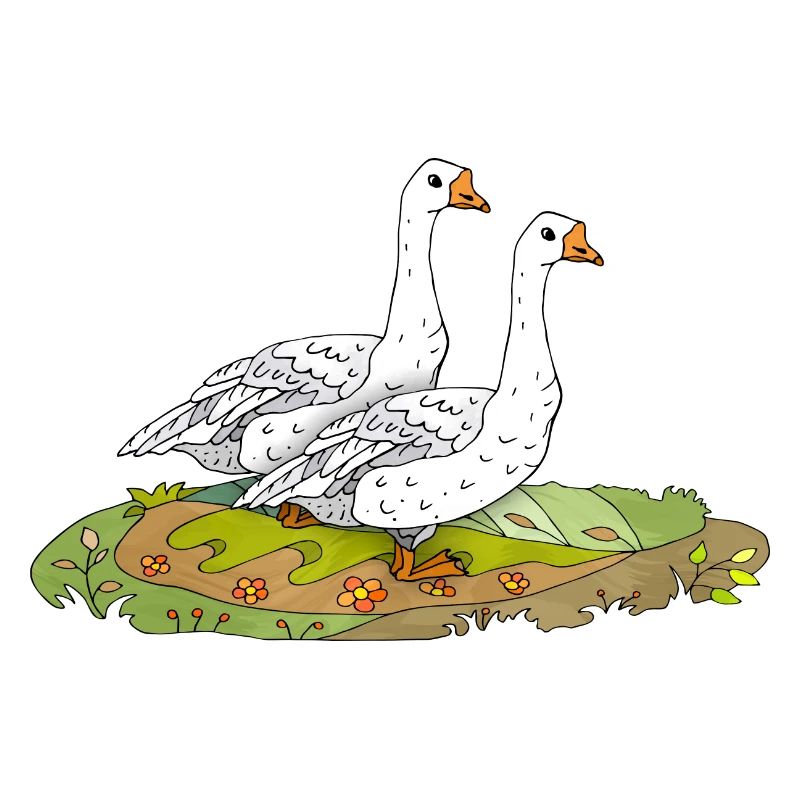 Gänse