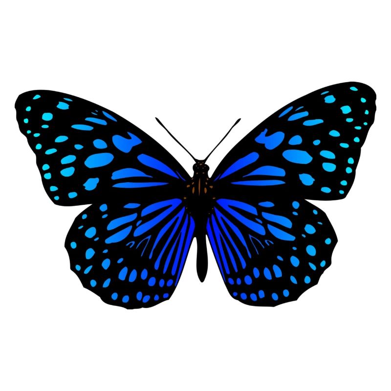 Schmetterling