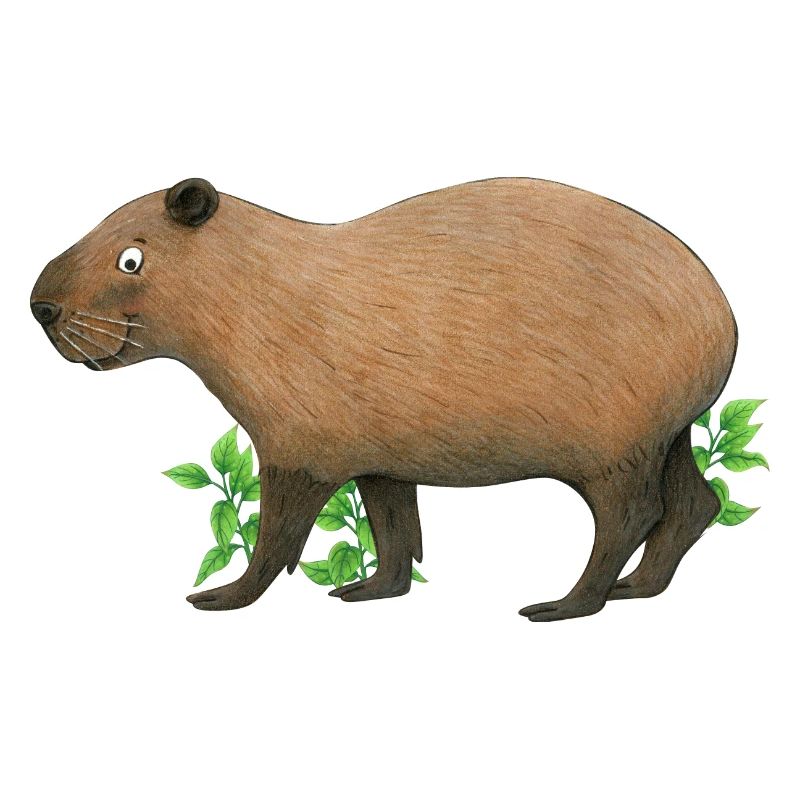 lustiges Capybara