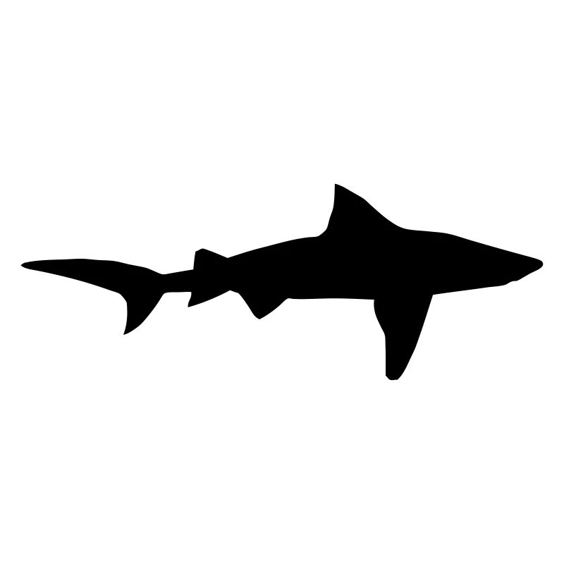 Shark - Hai