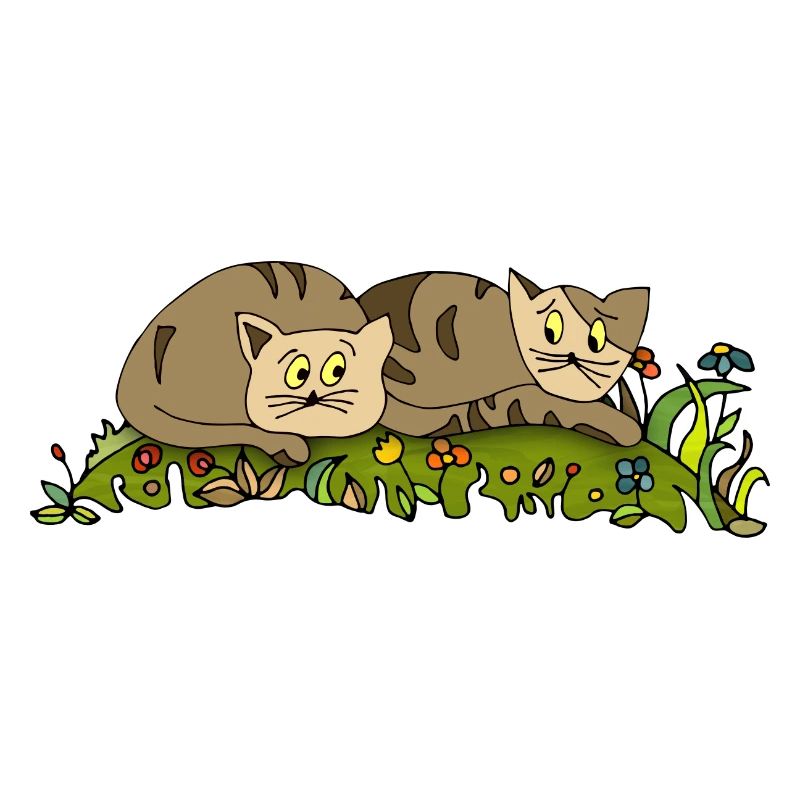 Katzen