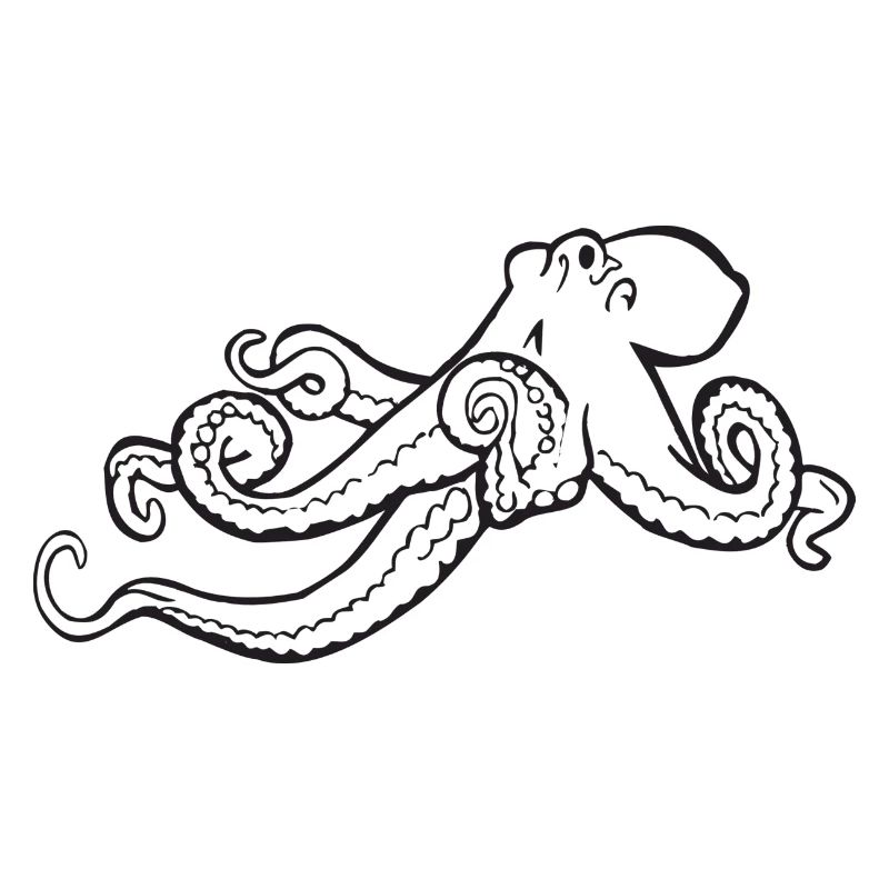 squid giant octopus octopus octopus squid sepia fish