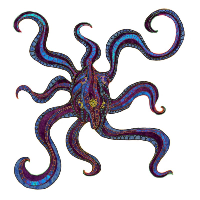 Squid 1