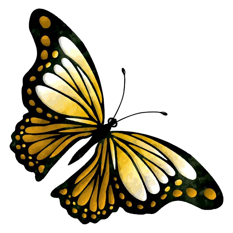 Schmetterling